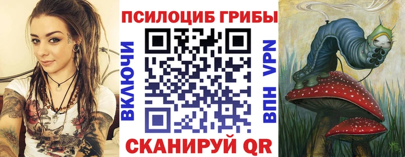 Галлюциногенные грибы Psilocybe  это телеграм  Новотроицк  магазин продажи наркотиков 