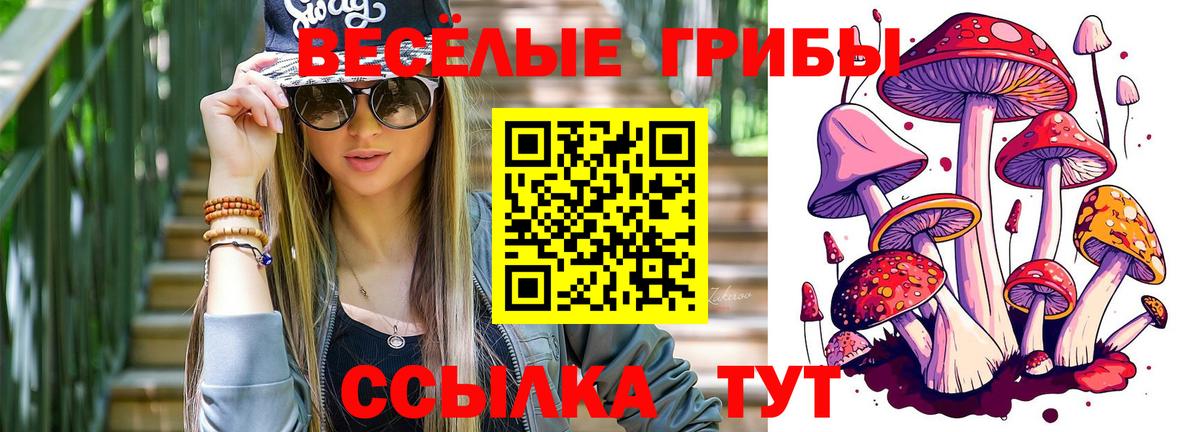 Новотроицк  Псилоцибиновые грибы Cubensis  Вход с VPN 