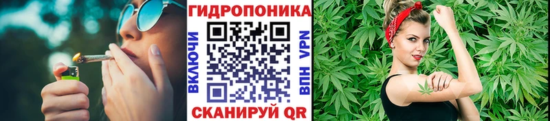 OMG зеркало  Новотроицк  Каннабис гибрид 