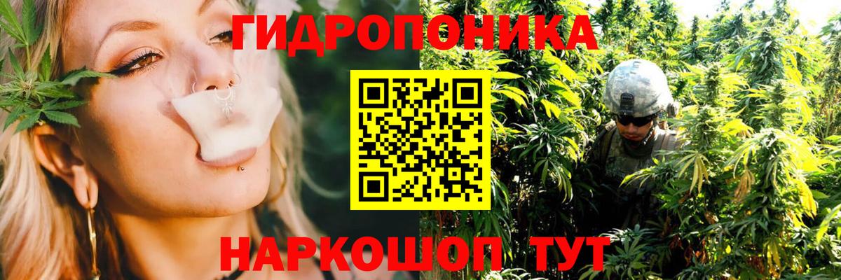 Бошки марихуана OG Kush Новотроицк